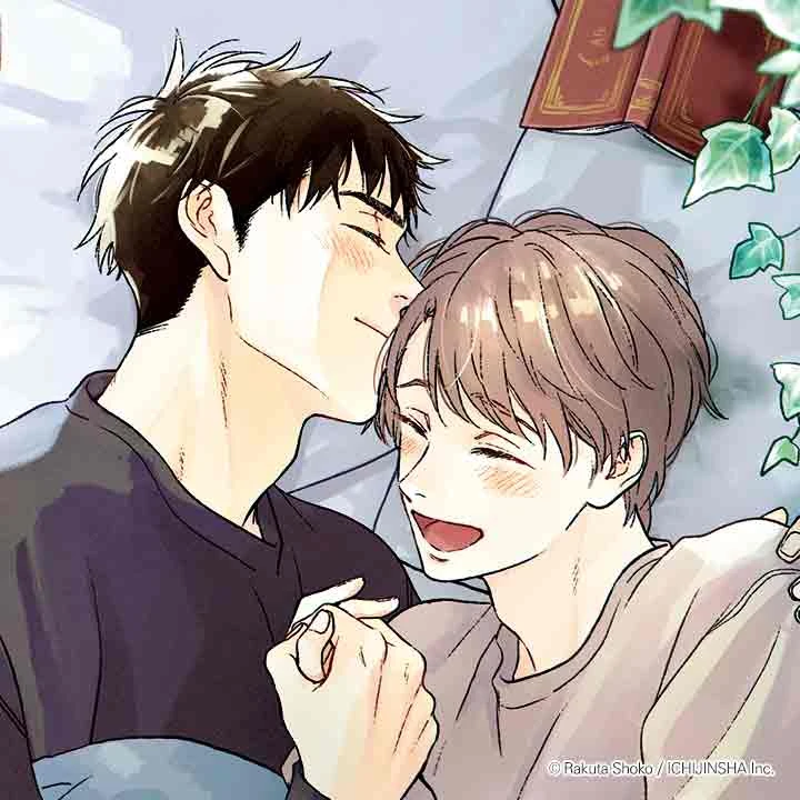 비 갠 뒤 우리들을 따라