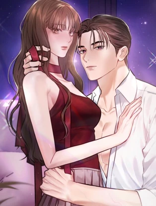 契約夫婦の夜 封面