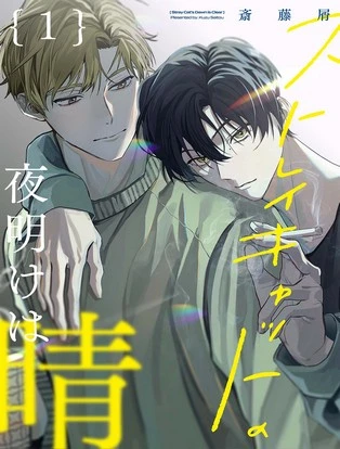 【分冊版】ストレイキャットの夜明けは晴 封面