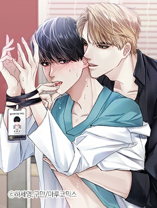 보편적 가이드의 평범한 일상