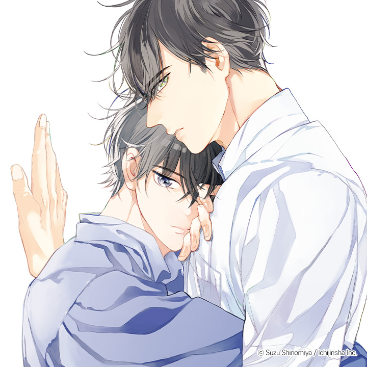 별빛 센티멘탈 뷰