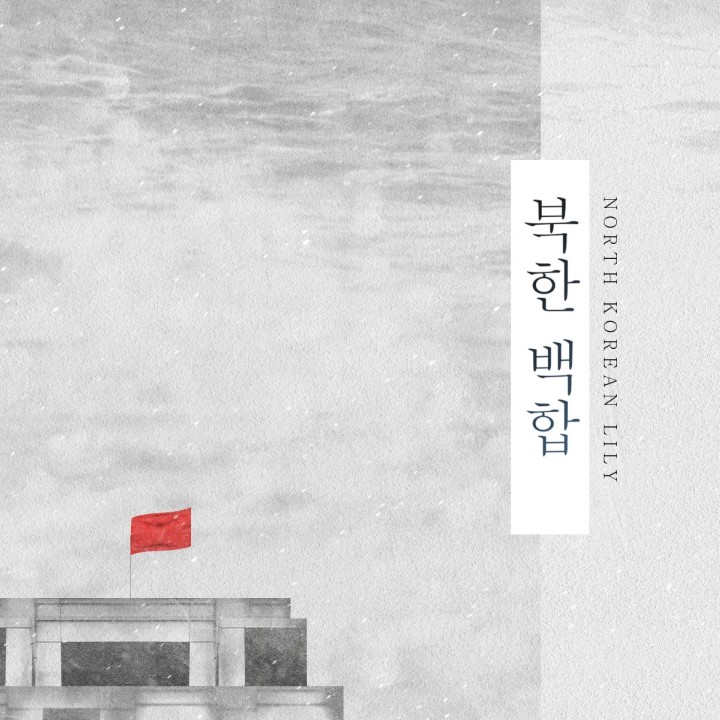 북한 백합
