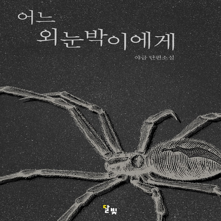 어느 외눈박이에게