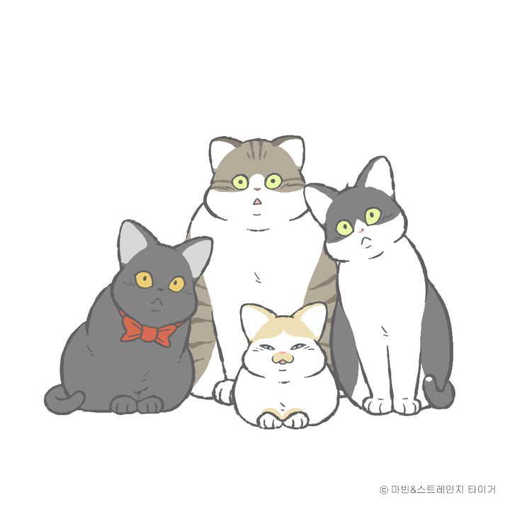 고로애옳