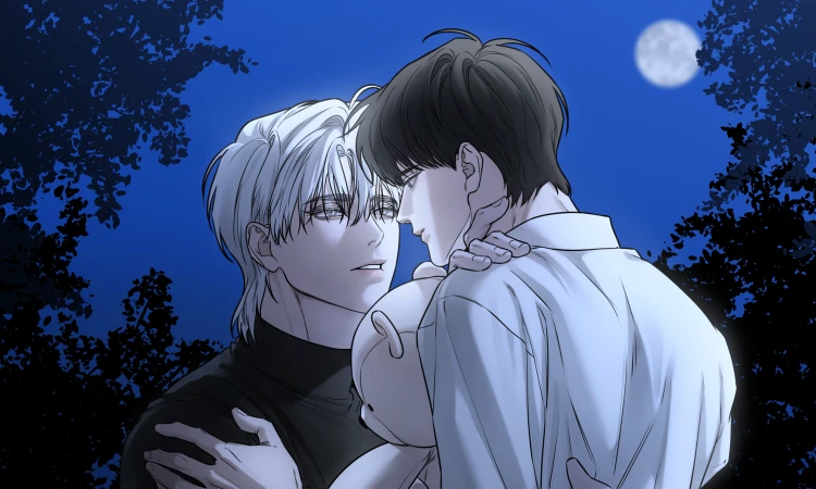 Dear Teddy Bear - BOOMTOON